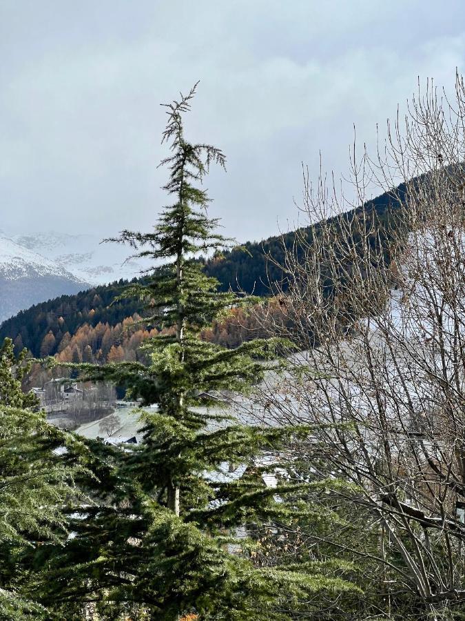 Il Pettirosso - Casa Vacanze Bormio Eksteriør bilde